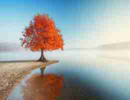 seo品​牌​宣​传﻿